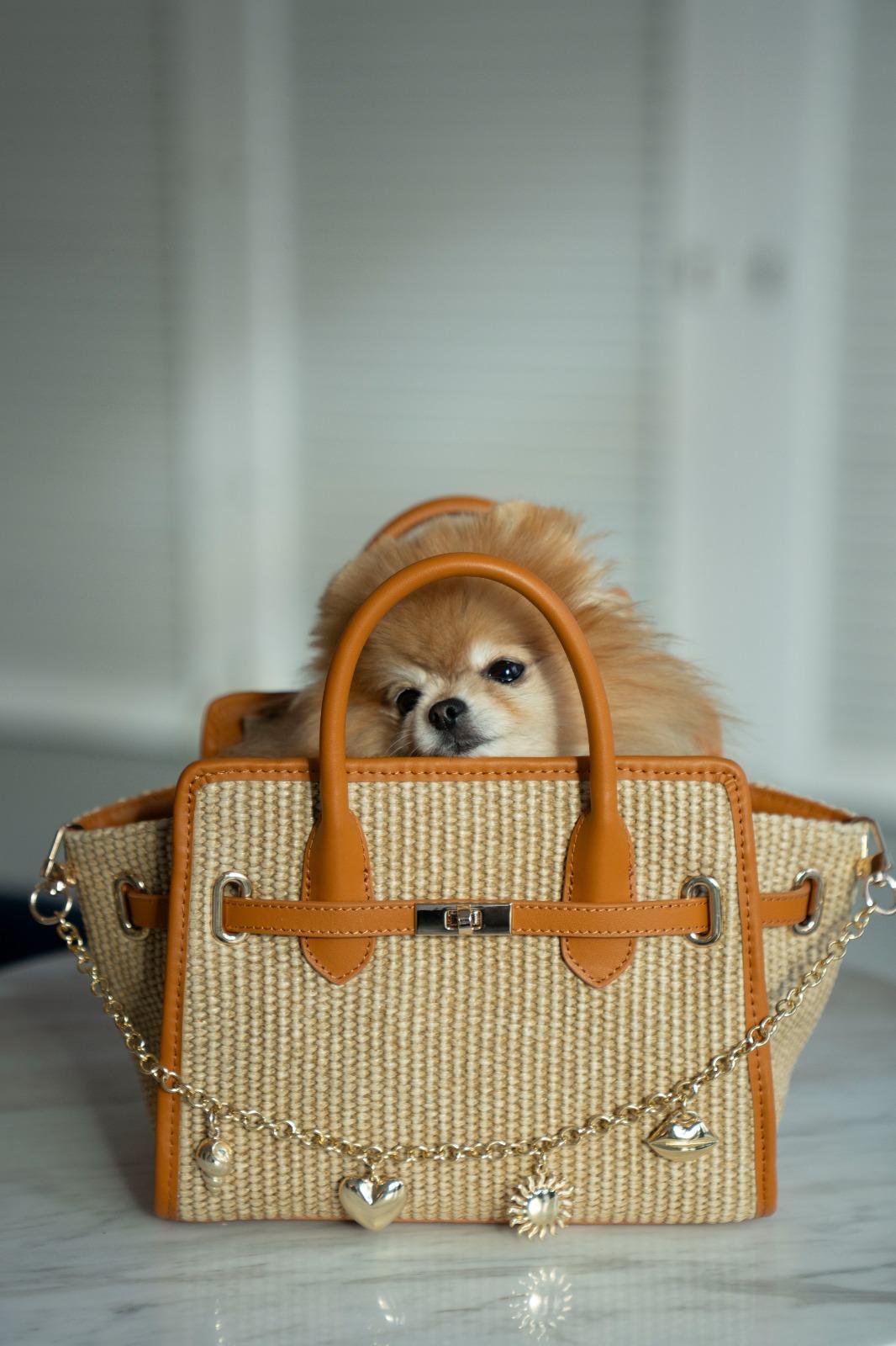 Bolsa La Provence Mini Camel