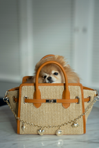 Bolsa La Provence Mini Camel